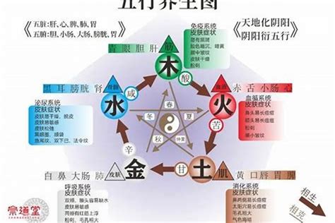 五行土旺缺木|五行缺木对我们有什么影响？